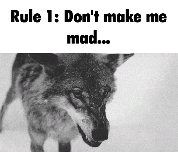 Goku Rules Rule 1 Dont Make Me Mad GIF