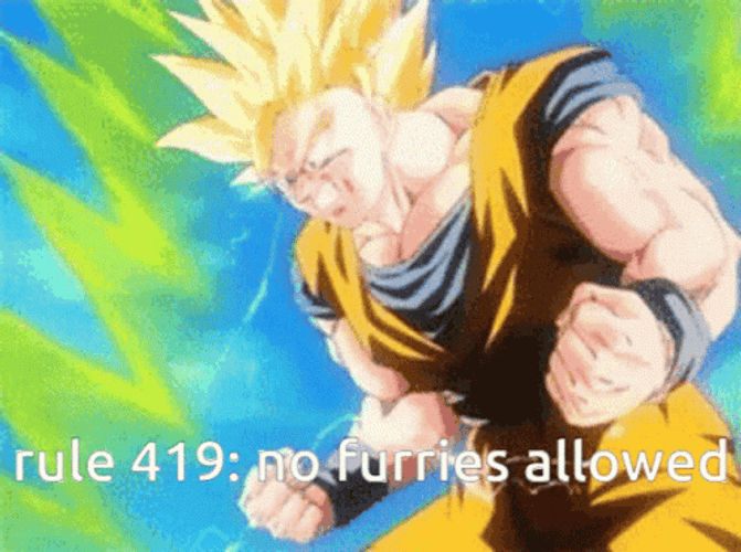 Goku Ssj3 No Furries Allowed GIF