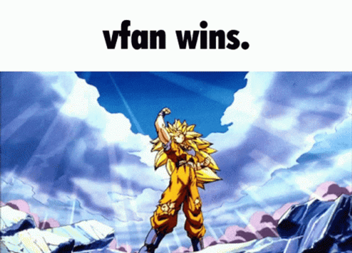 Goku Ssj3 Vfan Wins GIF