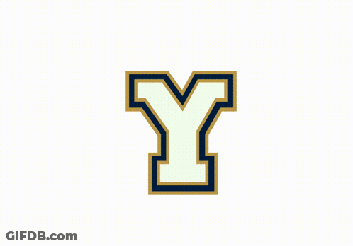 Gold And Blue Logo With Letter Y GIF