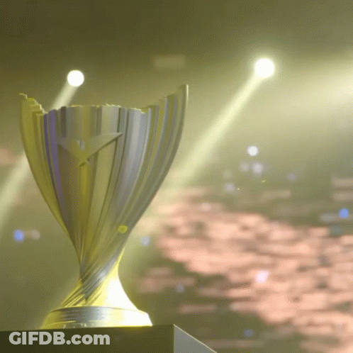 Gold And Silver Trophy With Star GIF