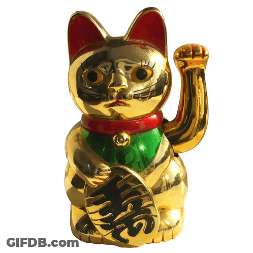 Gold Cat Statue With Chinese Symbols GIF