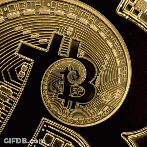 Gold Coin Saying Digital Decentralized GIF