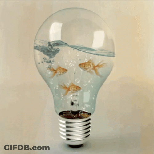 Gold Fish Aquarium Light Bulb GIF