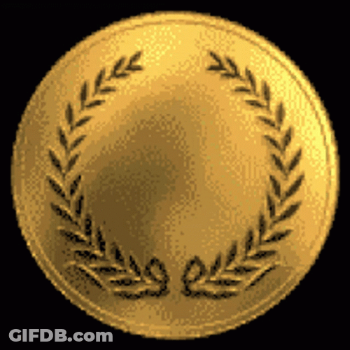 Gold Medal For Champions GIF
