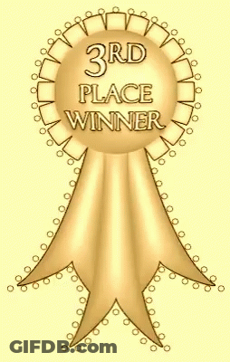 Gold Ribbon Saying 3Rd Place Winner GIF