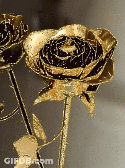 Gold Rose Is Shining GIF