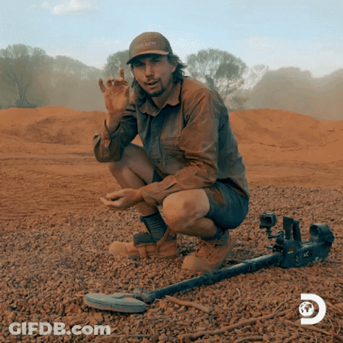 Gold Rush Parker Schnabel Nugget Meme GIF