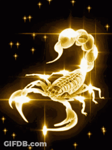 Gold Scorpion Surrounded By Stars GIF