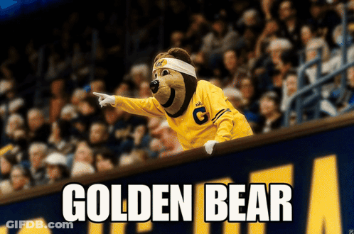 Golden Bear Mascot Pointing Over Fence GIF