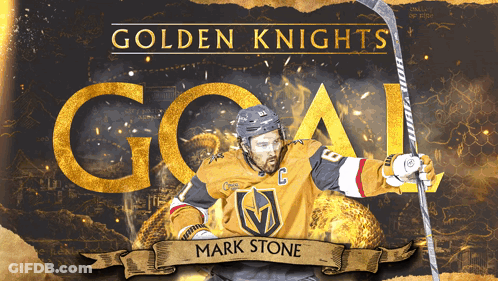 Golden Knights Hockey Player Holding Stick GIF
