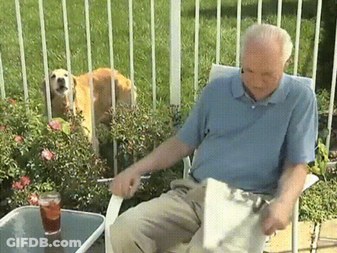 Golden Retriever And Frustrated Old Man GIF