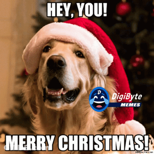 Golden Retriever Merry Christmas Meme GIF