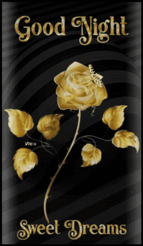 Golden Rose Good Night Sweet Dreams GIF