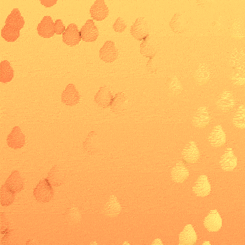 Golden Shower Rain Animated Art GIF