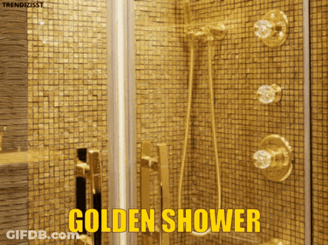 Golden Shower Raining Coins Bathroom Meme GIF