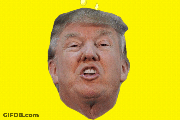 Golden Shower Yellow Rain Donald Trump Meme GIF