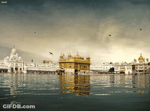 Golden Temple With 40X40 GIF