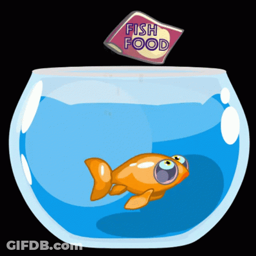 Goldfish Catching Falling Food GIF