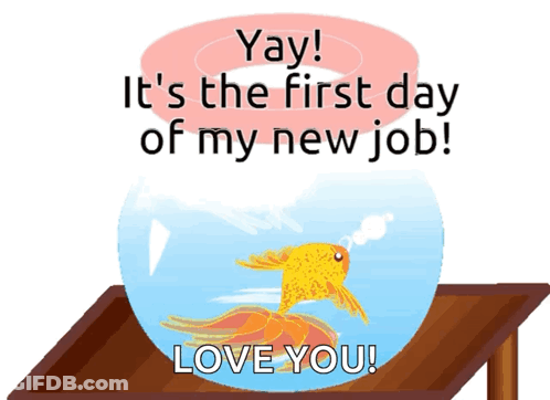 Goldfish In Bowl Saying Yay First Day New Job GIF