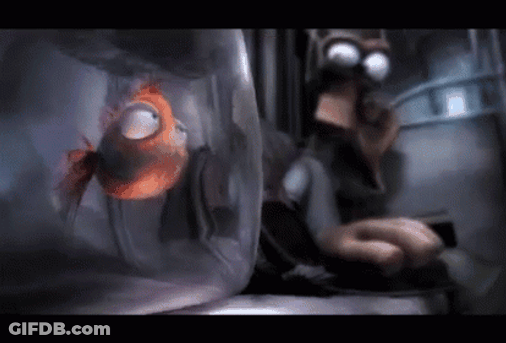 Goldfish GIF