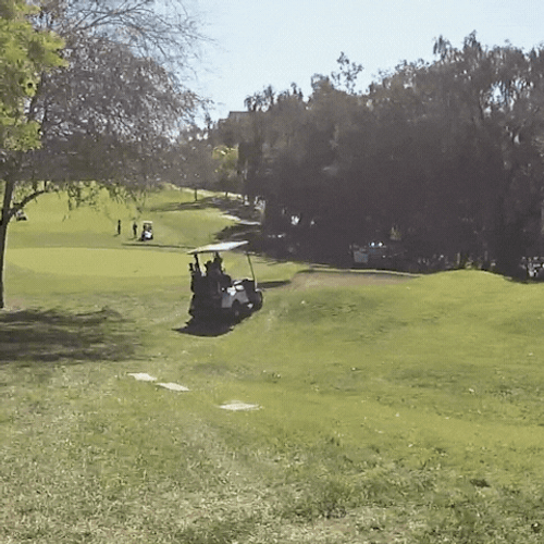 Golf Cart Accident In Golf Course GIF