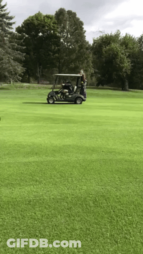 Golf Cart Moves With Man Hanging On GIF