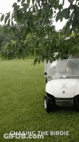 Golf Cart Saying Chasing The Birdie GIF