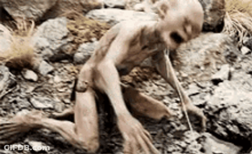 Gollum Lord Of The Rings GIF