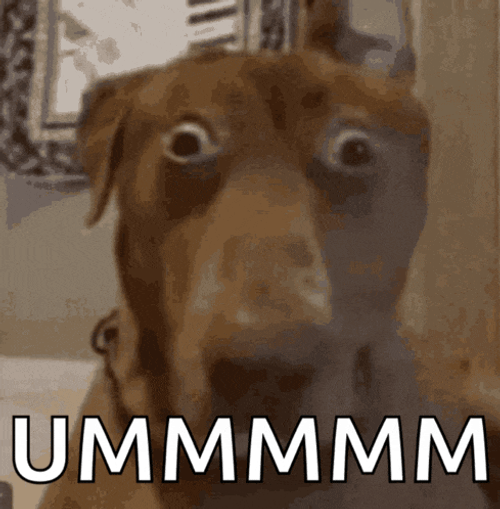 Gomi Gomi Dog Meme GIF