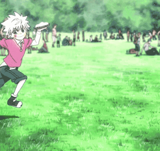 Gon Chasing Killua Pfp GIF