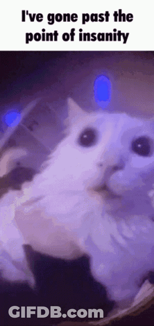 Gone Past The Point Of Insanity GIF