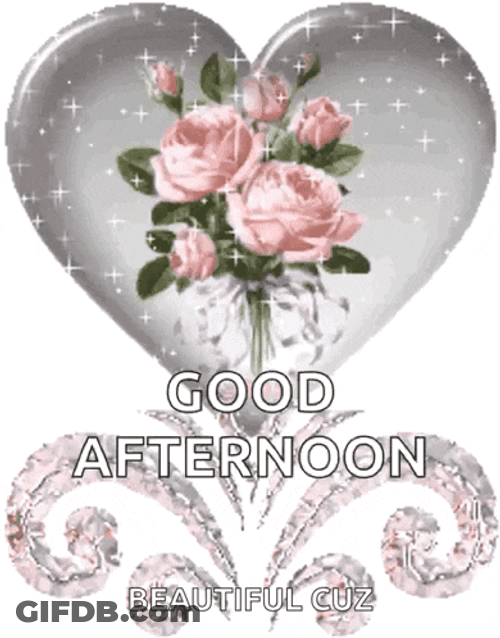 Good Afternoon Afternoon GIF