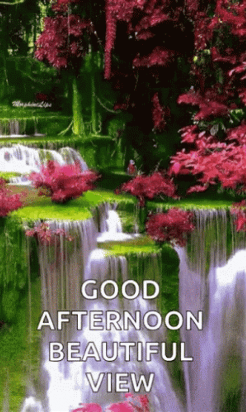 Good Afternoon Beautiful View GIF