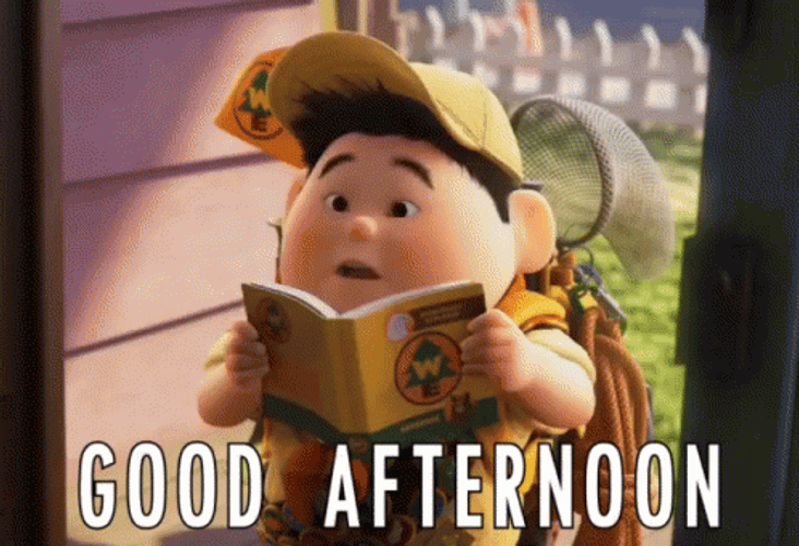 Good Afternoon Boy Scout Rusell GIF