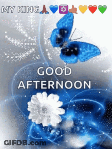 Good Afternoon Butterfly And Flowers GIF