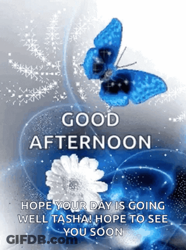 Good Afternoon Butterfly And Flowers GIF