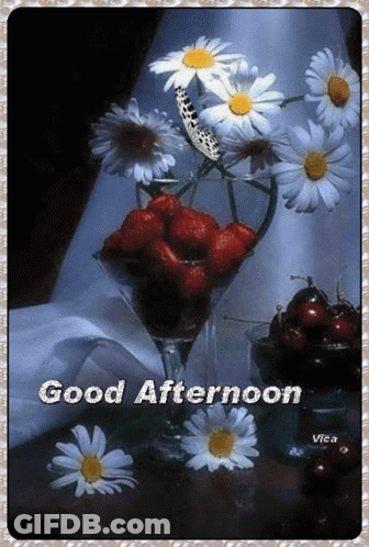 Good Afternoon Card With Daisies And Strawberries GIF