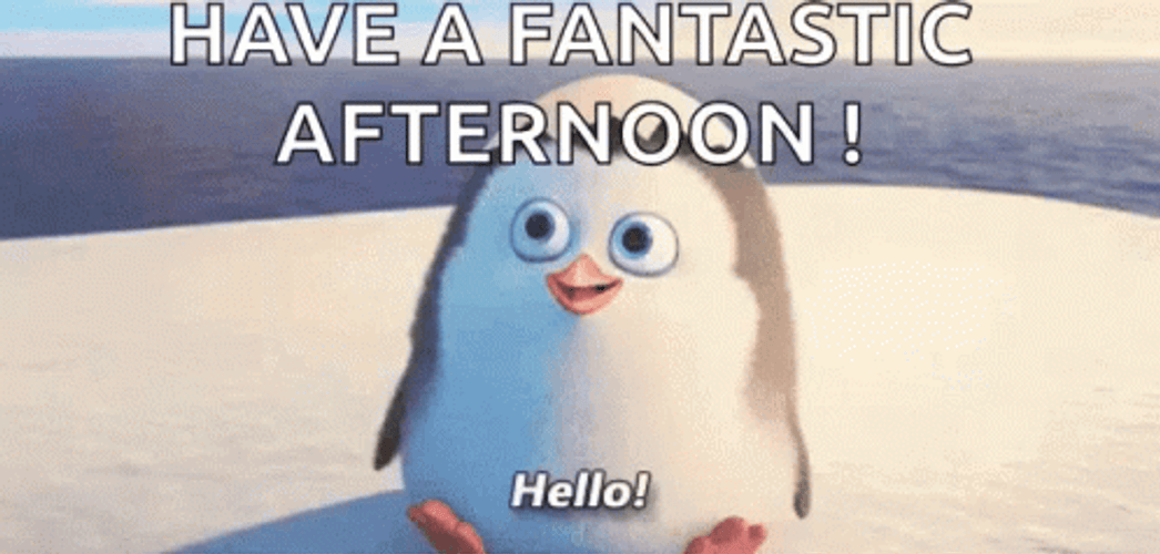 Good Afternoon Cute Penguin GIF