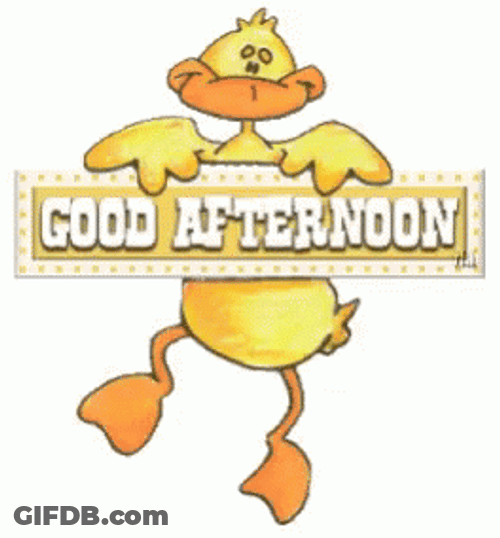 Good Afternoon Duck Animation GIF