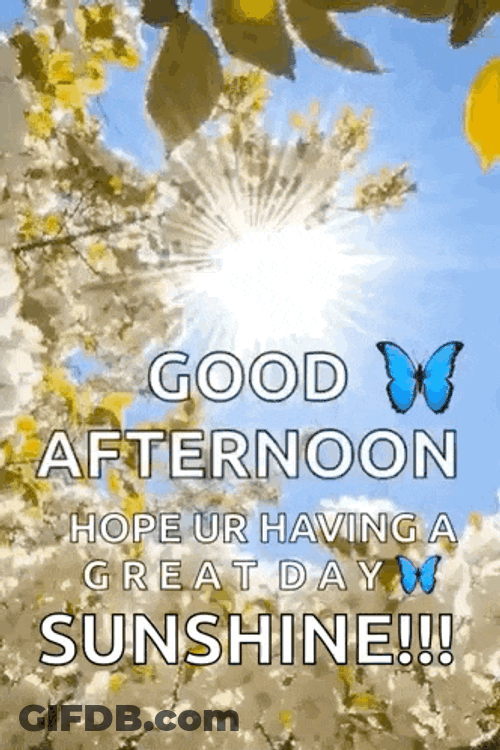 Good Afternoon Flowers GIF