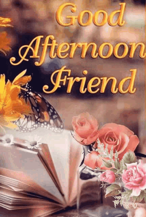 Good Afternoon GIF