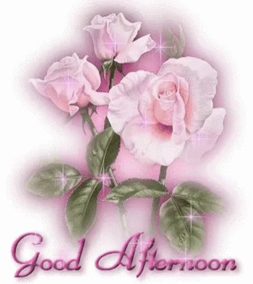 Good Afternoon Glittery Pink Flower GIF