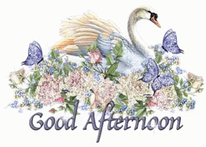 Good Afternoon Glittery Swan GIF