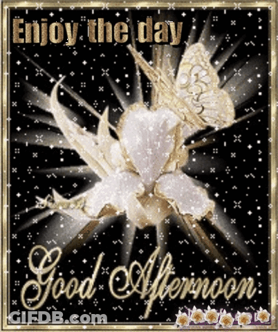 Good Afternoon Greeting Card Butterfly And Flower GIF