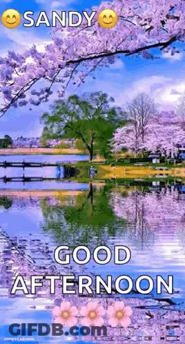 Good Afternoon Greeting Card With Lake And Cherry Blossoms GIF
