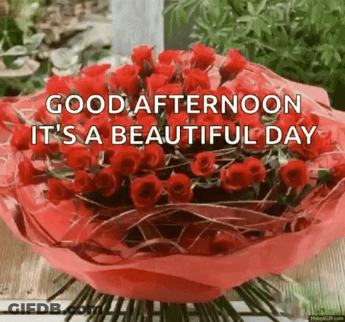 Good Afternoon Greeting Card With Vase Of Flowers GIF