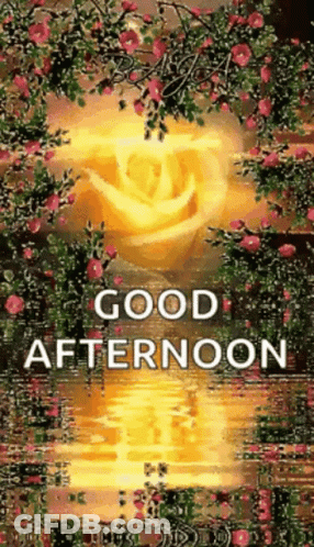Good Afternoon Greeting With Yellow Rose GIF