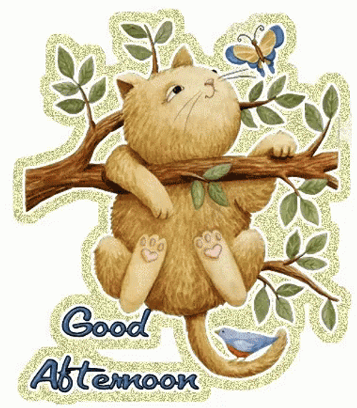 Good Afternoon Hanging Cat GIF