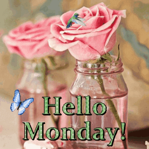 Good Afternoon Happy Monday Pink Roses Little Bird GIF